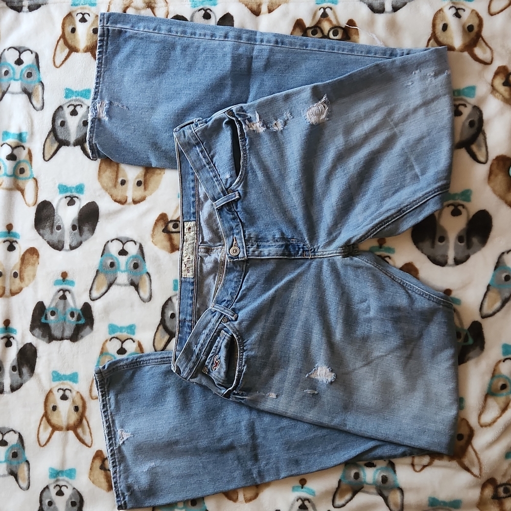 hollister jean